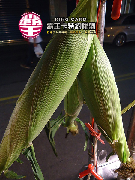 高山玉米（武陵農場種植）-3
