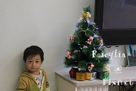 2011.12.11(550D) 023.JPG 2011.12.11(550D) 023.JPG