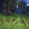 TERA_ScreenShot_20110428_233821.jpg