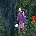 TERA_ScreenShot_20110326_212150.jpg