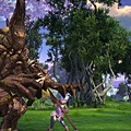 TERA_ScreenShot_20110326_231956.jpg