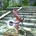 TERA_ScreenShot_20110327_011734.jpg