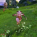 TERA_ScreenShot_20110327_011920.jpg