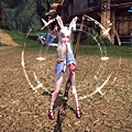 TERA_ScreenShot_20110501_044414.jpg