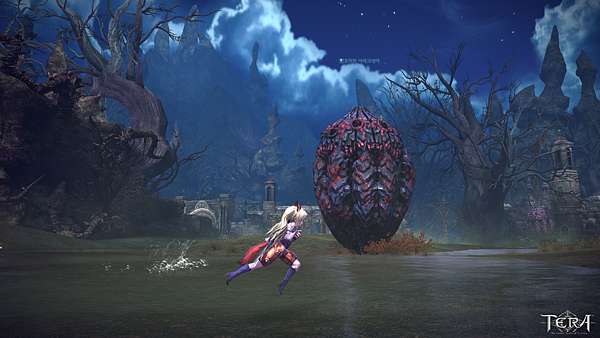 TERA_ScreenShot_20110401_061603.png