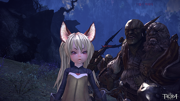 TERA_ScreenShot_20110325_212245.png