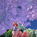 TERA_ScreenShot_20110327_001941.png