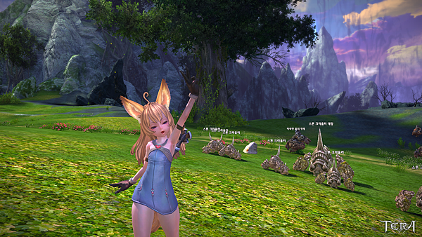 TERA_ScreenShot_20110326_174041.png