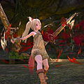 TERA_ScreenShot_20110328_172728.png