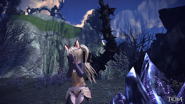 TERA_ScreenShot_20110325_212313.png