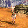 TERA_ScreenShot_20110329_143252.png