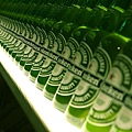 heineken.jpg