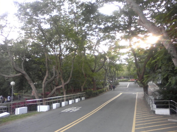 東海大學某處道路