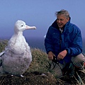 David Attenborough 01.jpg