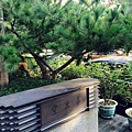 photo 2.JPG