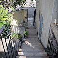 DSC_0484.JPG