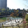 DSC_0561.JPG