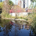 DSC_0592.JPG