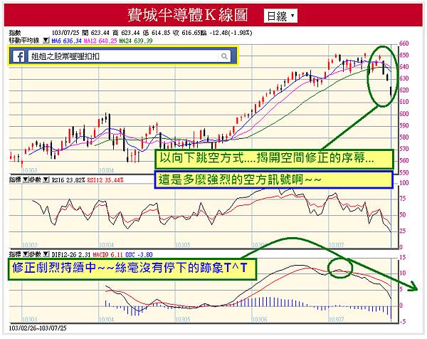 1030725--費半日K