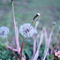 DSC08608.JPG
