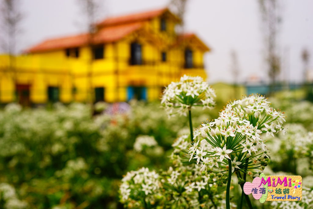 DSC02252.JPG DSC02252.JPG