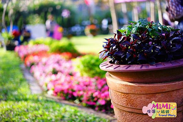 DSC04879.JPG DSC04879.JPG