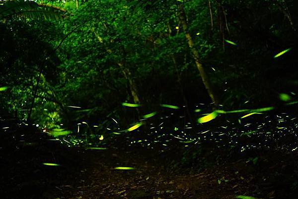 31044813_1629032007194115_4173374547057180672_n.jpg 31044813_1629032007194115_4173374547057180672_n.jpg