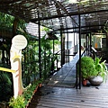 DSC06652