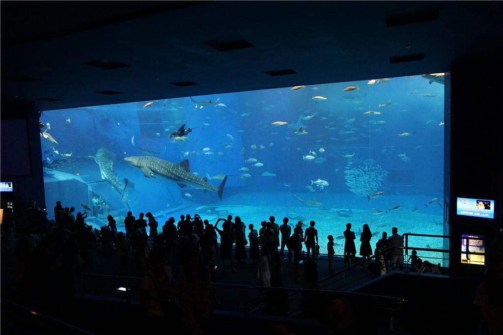 遊記 沖繩必去 無敵壯觀漂亮的美麗海水族館 美ら海水族館 交通資訊 推薦景點 Ringo S Cinema蘋果電影院 痞客邦 遊記 沖繩必去 無敵壯觀漂亮的美麗海水族館 美ら海水族館 交通資訊 推薦景點 Ringo S Cinema蘋果電影院 痞客邦