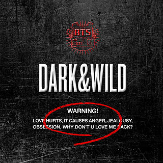 BTS_DARK_%26;_WILD.jpg