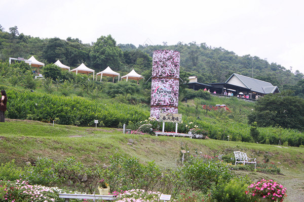 IMG_5764-1.jpg IMG_5764-1.jpg