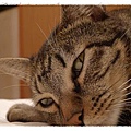 popo201203