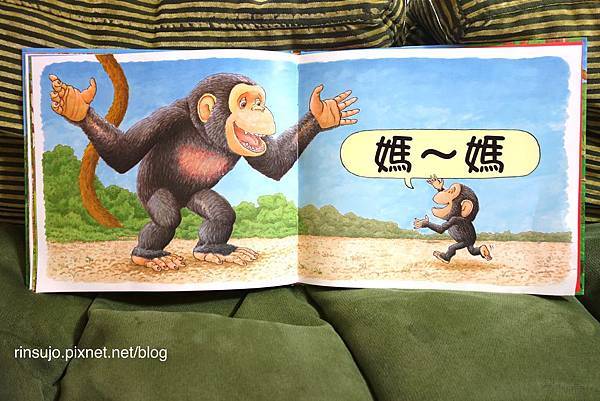 2014-05-30 12.11.26.jpg