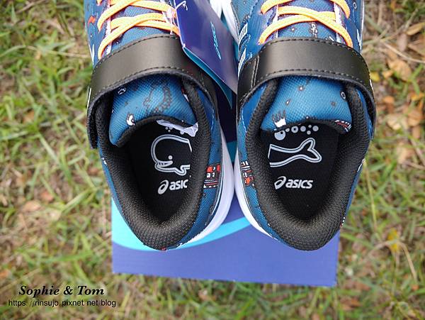 P1150879.JPG P1150879.JPG