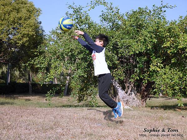 P1150911.JPG P1150911.JPG