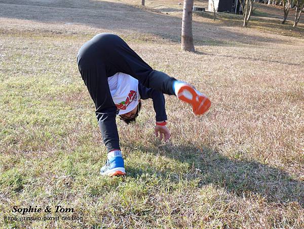 P1150936.JPG P1150936.JPG