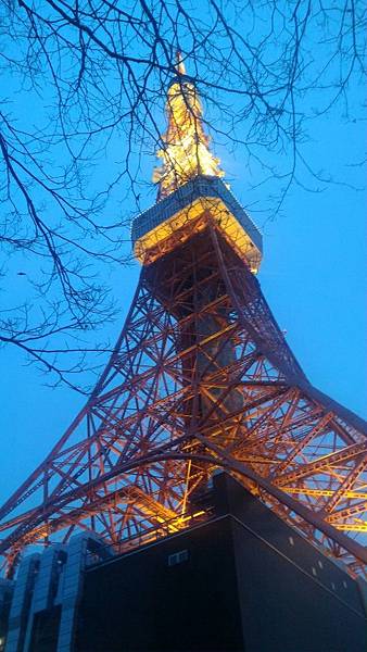 P_20160316_175150.jpg1647894742