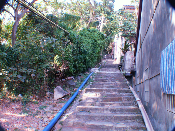PICT0009.JPG PICT0009.JPG