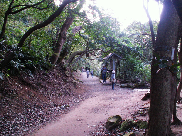 PICT0020.JPG PICT0020.JPG