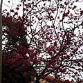 20160306_155841.jpg
