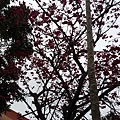 20160306_155846.jpg