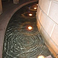 IMG_6539.jpg