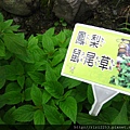 IMG_7215.JPG