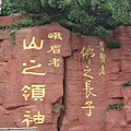 照片 323