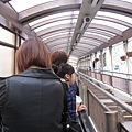 IMG_6575.jpg
