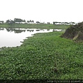 IMG_7195.JPG