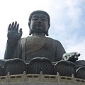 IMG_6554.jpg