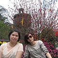 IMG_6558.jpg