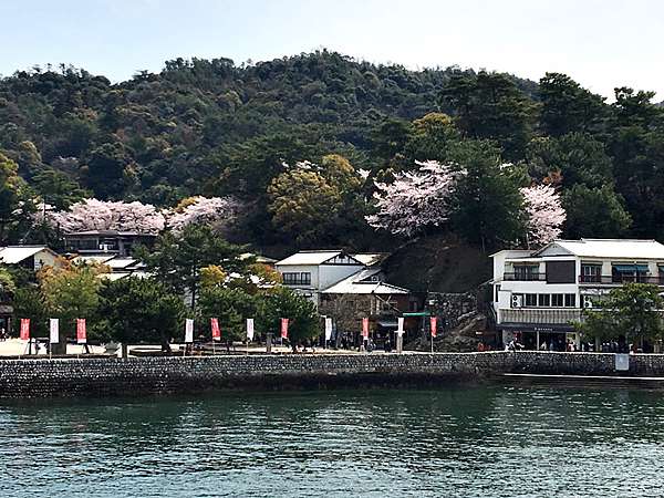 山陽山陰券宮島景點美食 Day7 日本三景宮島嚴島神社 交通方式介紹 岩むら美食 Miyaji咖啡 小麗子旅遊手帳 痞客邦 山陽山陰券宮島景點美食 Day7 日本三景宮島嚴島神社 交通方式介紹 岩むら美食 Miyaji咖啡 小麗子旅遊手帳 痞客邦
