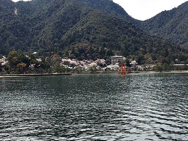 山陽山陰券宮島景點美食 Day7 日本三景宮島嚴島神社 交通方式介紹 岩むら美食 Miyaji咖啡 小麗子旅遊手帳 痞客邦